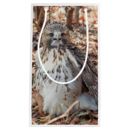 Bolsa De Regalo Pequeña El rojo ató el halcón doblado