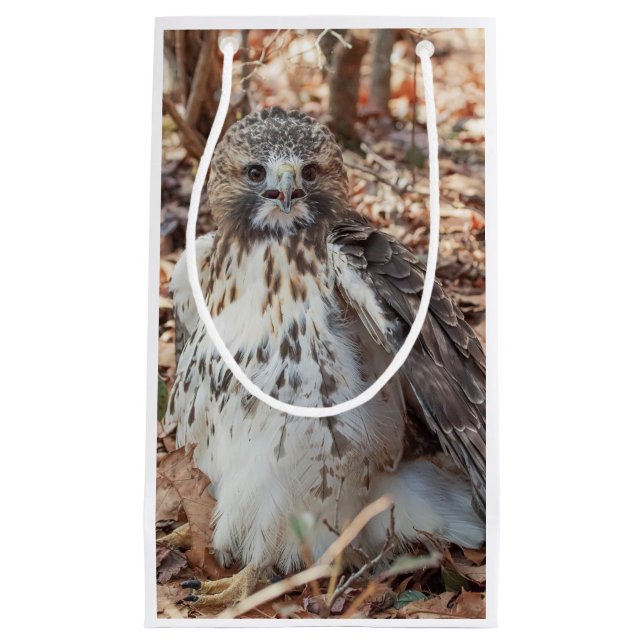 Bolsa De Regalo Pequeña El rojo ató el halcón doblado (Anverso)