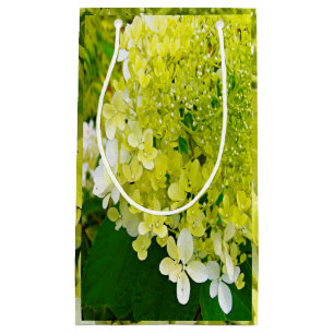 Bolsa De Regalo Pequeña Elegante Chartreuse Green Limelight Hydrangea