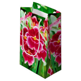 Bolsa De Regalo Pequeña Elegante orquídea roja