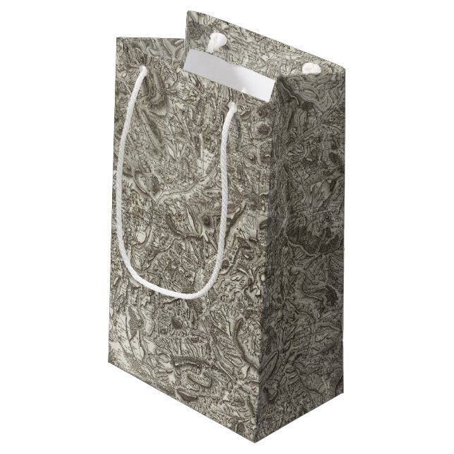 Bolsa De Regalo Pequeña Embrun (Angulo reverso)
