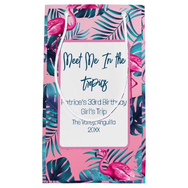 Bolsa De Regalo Pequeña Encuéntrenme en el viaje de Chicas de cumpleaños t (Anverso)