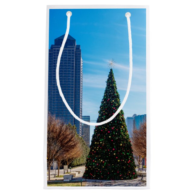 Bolsa De Regalo Pequeña Esta Es La Temporada En Dallas (Anverso)