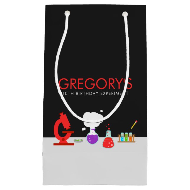 Bolsa De Regalo Pequeña Fiesta de Ciencias Infantiles (Anverso)