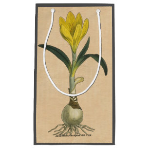 Bolsa De Regalo Pequeña Flor Jardín Botánico Amaryllis Tulip