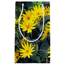 Flores de Tupinambo