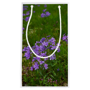 Bolsa De Regalo Pequeña Flox Azul Silvestre
