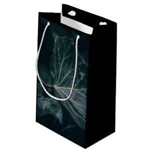 Bolsa De Regalo Pequeña Foto natural de marfil oscuro