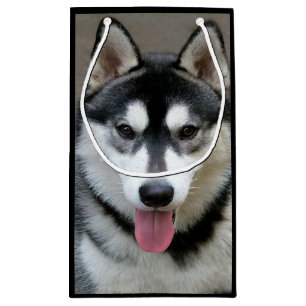 Bolsa De Regalo Pequeña Fotografía del perro del Malamute de Alaska