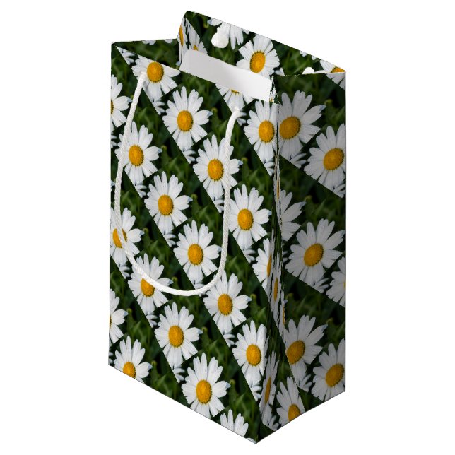 Bolsa De Regalo Pequeña fotografía, un margueritte, hacen verde (Angulo Anverso)