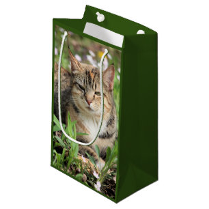 Bolsa De Regalo Pequeña Gato