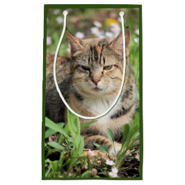 Bolsa De Regalo Pequeña Gato