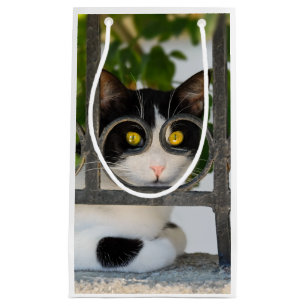Bolsa De Regalo Pequeña Gato curioso con milagros Fotografía divertida —