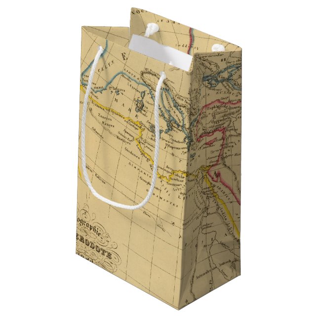 Bolsa De Regalo Pequeña Geografía de Herodotus (Angulo reverso)