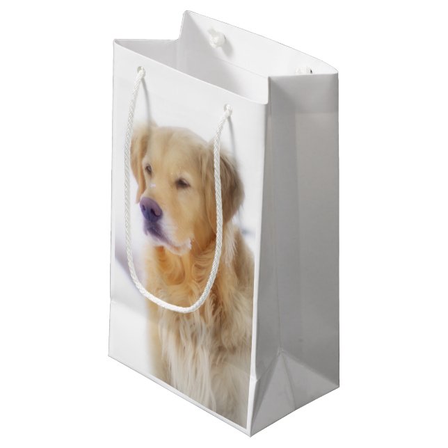 Bolsa De Regalo Pequeña Golden retriever en la nieve (Angulo Anverso)