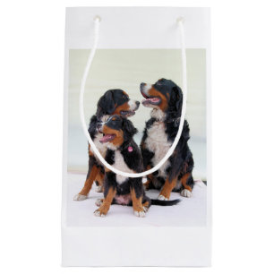 Bolsa De Regalo Pequeña grupo del perro de montaña bernese