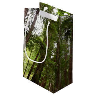 Bolsa De Regalo Pequeña Hasta secuoyas en el Monumento Nacional Muir Woods