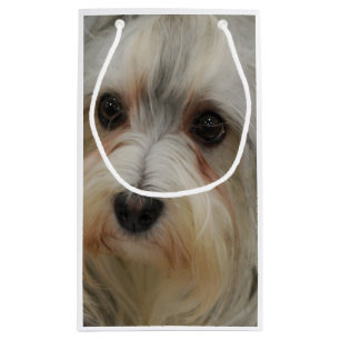 Bolsa De Regalo Pequeña Havanese