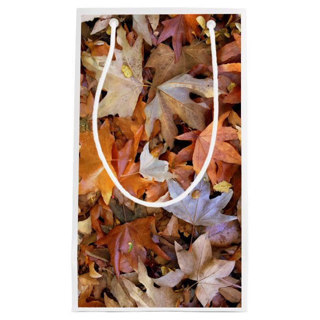 Bolsa De Regalo Pequeña Hoja de Otoño (Anverso)