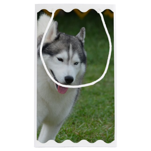 Bolsa De Regalo Pequeña Husky siberiano lindo (Reverso)