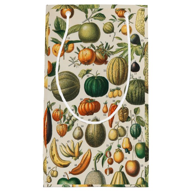Bolsa De Regalo Pequeña Ilustracion científico botánico de frutas (Anverso)