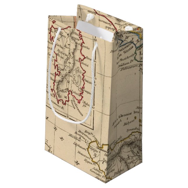 Bolsa De Regalo Pequeña Italia 4 (Angulo reverso)