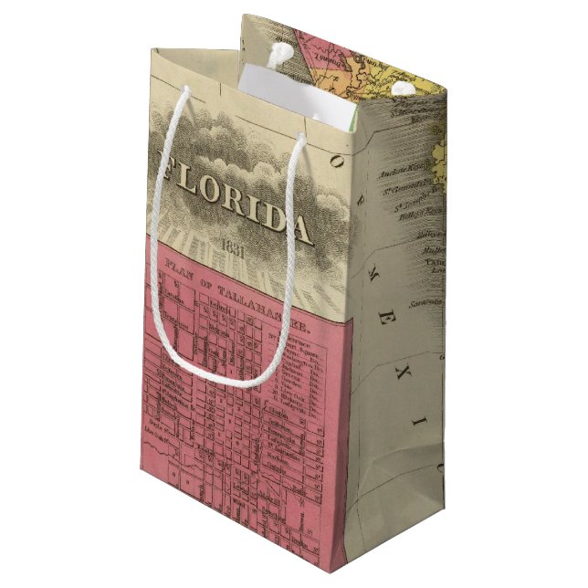 Bolsa De Regalo Pequeña La Florida 10 2 (Angulo reverso)