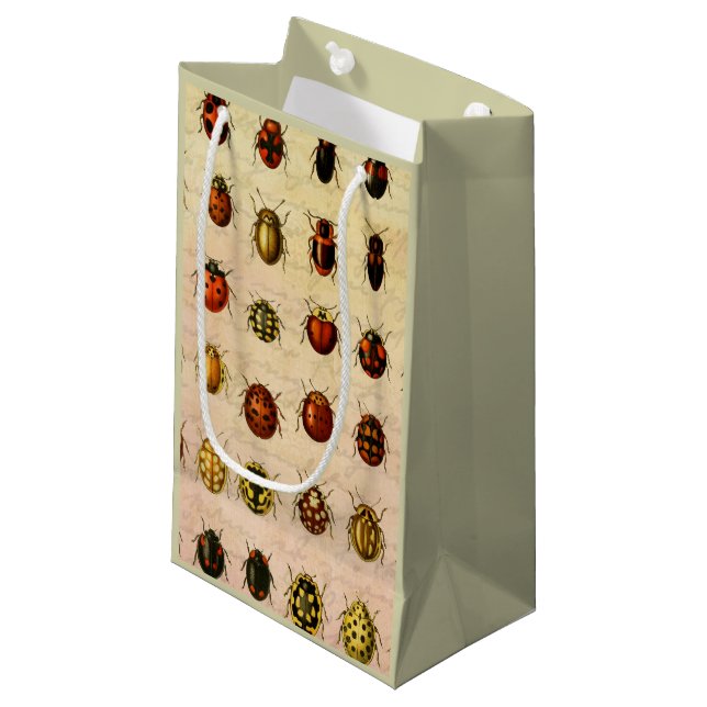 Bolsa De Regalo Pequeña Ladybug Ladybird Beetle Insect Bug (Angulo Anverso)