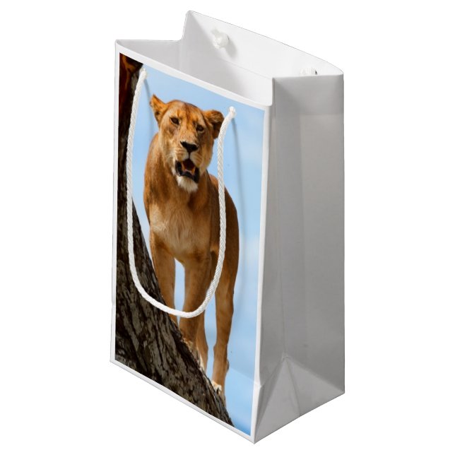 Bolsa De Regalo Pequeña Leona (Angulo Anverso)