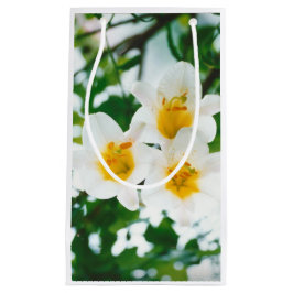 Bolsa De Regalo Pequeña Lirios Blancos - Flor de lirio Lilium candidum 