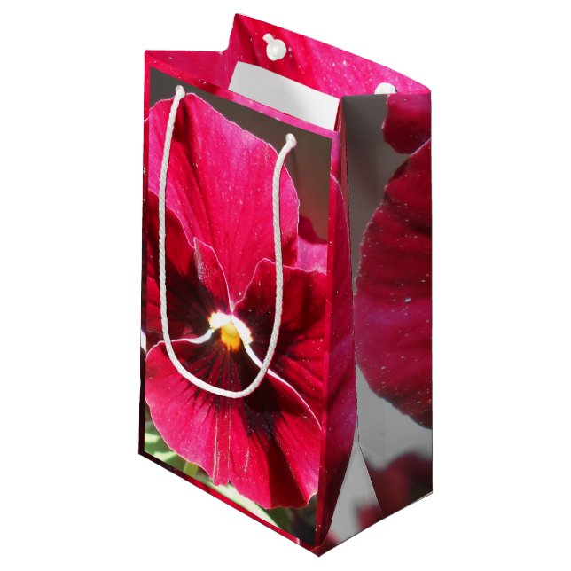 Bolsa De Regalo Pequeña Lucrezia (Angulo Anverso)