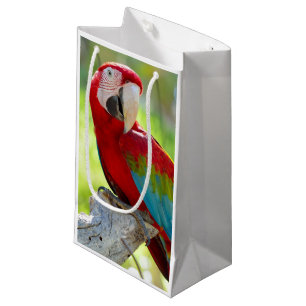 Bolsa De Regalo Pequeña Macaw que se sienta en rama