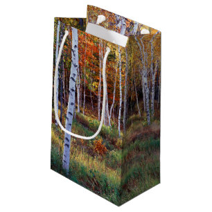 Bolsa De Regalo Pequeña Maine, Parque Nacional de Acadia, otoño