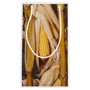 Bolsa De Regalo Pequeña Maíz Cobb en tallo