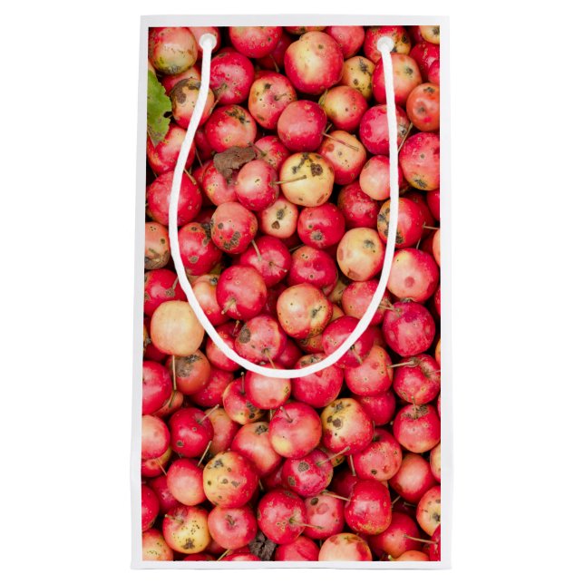 Bolsa De Regalo Pequeña manzanas orgánicas (Anverso)