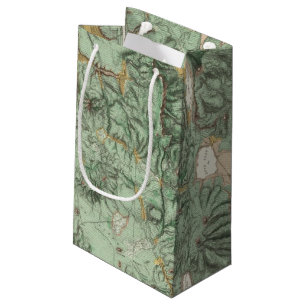 Bolsa De Regalo Pequeña Mapa de la clasificación de tierra de Nevada