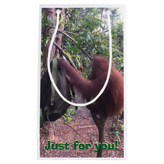 Bolsa De Regalo Pequeña Mejor regalo animal lindo especial nunca (Anverso)