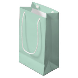 Bolsa De Regalo Pequeña Minimalista menta de marisco verde liso elegante