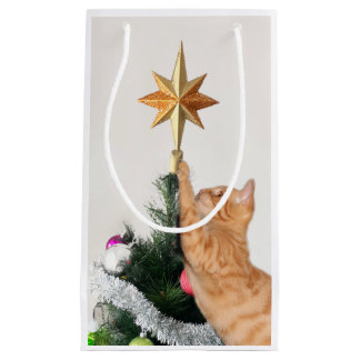 Bolsa De Regalo Pequeña Naranja tabby y estrella de Navidades