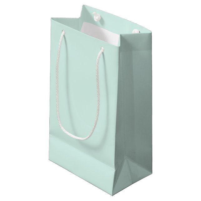 Bolsa De Regalo Pequeña Nube de Menta (Angulo Anverso)