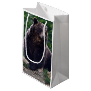 Bolsa De Regalo Pequeña Oso de Brown