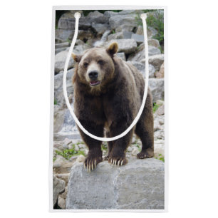 Bolsa De Regalo Pequeña Oso Kodiak