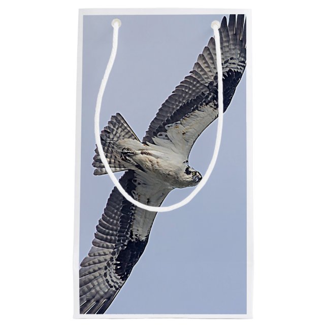 Bolsa De Regalo Pequeña Osprey en vuelo (Anverso)