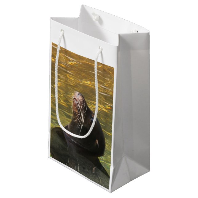 Bolsa De Regalo Pequeña Otaria (Angulo Anverso)