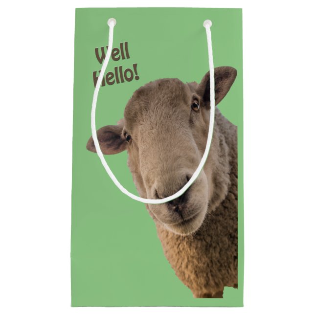 Bolsa De Regalo Pequeña Oveja (Anverso)