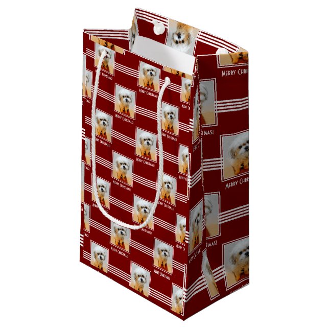 Bolsa De Regalo Pequeña Papel de seda Malshi (Angulo Anverso)