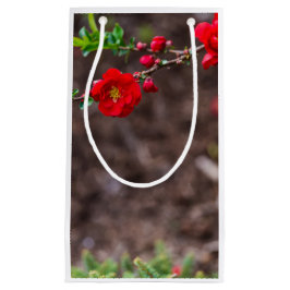 Bolsa De Regalo Pequeña Parte superior del cartón