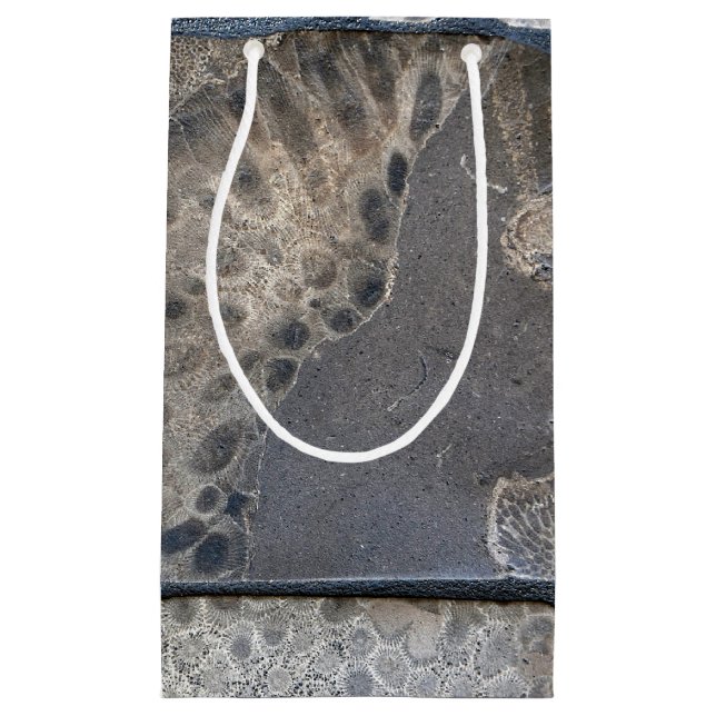 Bolsa De Regalo Pequeña Patrón de piedra de Petoskey (Anverso)