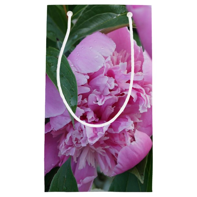 Bolsa De Regalo Pequeña Peonía Rosa (Anverso)