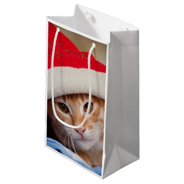 Bolsa De Regalo Pequeña Pequeño gatito en gorra rojo del navidad (Angulo Anverso)